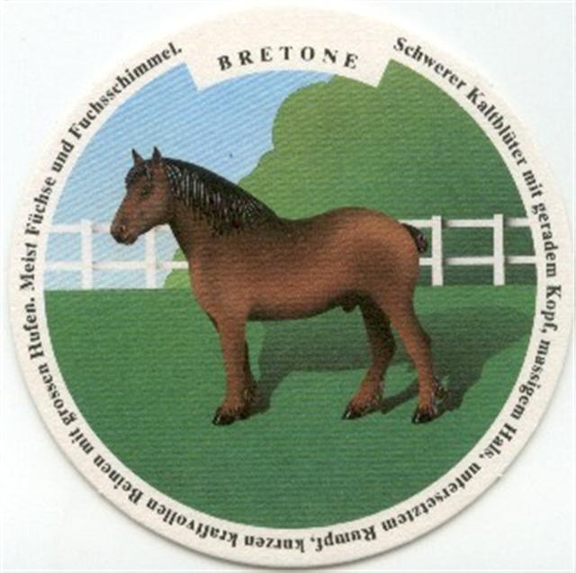 winterthur zh-ch haldengut pferde 2b (rund210-bretone) 